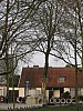 IMG_1144-hele boom .JPG